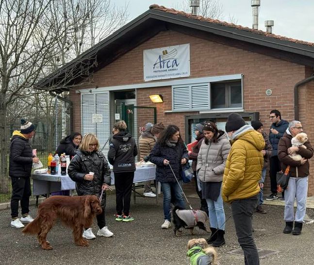 Celebrata la Festa degli animali al canile comunale