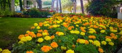 Cervia Città Giardino tante iniziative nel territorio